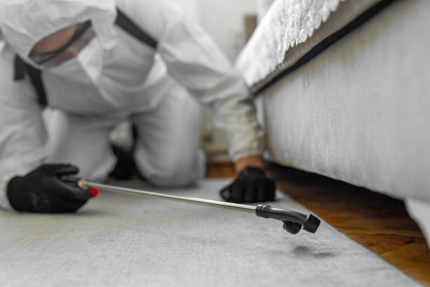 Professional Pest Control technician working in Glade Spring, VA