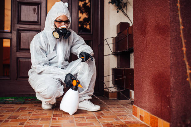 Reliable Cockroach Control contractor in Glade Spring, VA by Nex Pest Control